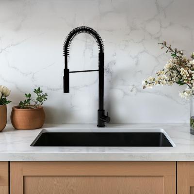 Waterevolution Flow Semi=professional kitchen mixer with extractable shower and swivel spout Black T157PR