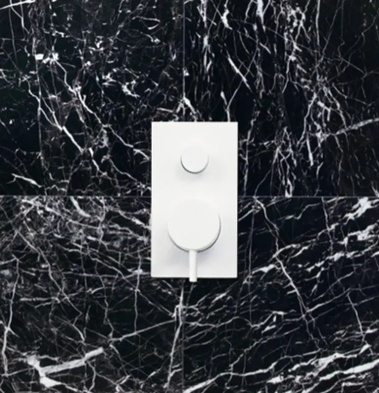 Termostato Waterevolution Flow de ducha empotrado con 2 tomas blanco mate T132TBBR