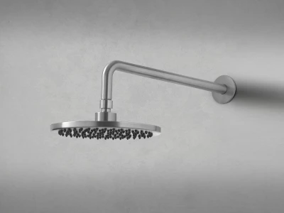 Waterevolution Flow Consealed headshower Stainless steel T1641IE