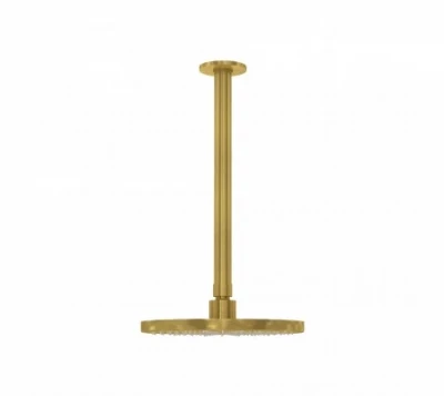 Waterevolution Flow head shower 200mm with ceiling connection Brushed Brass T1642LE