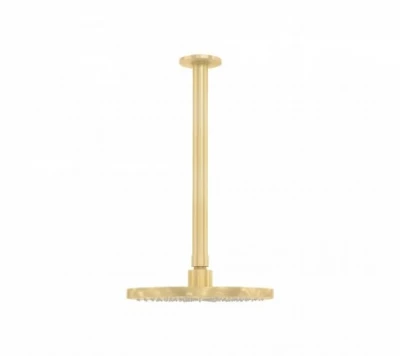 Waterevolution Flow head shower 200mm with ceiling connection Light Gold T1642WGE