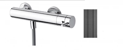 Waterevolution Flow Shower Thermostat with shower holder PVD gun Metal T140TGME