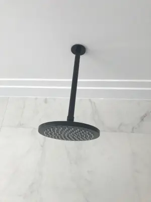 Waterevolution Flow head shower 250mm with ceiling connection full stainless steel