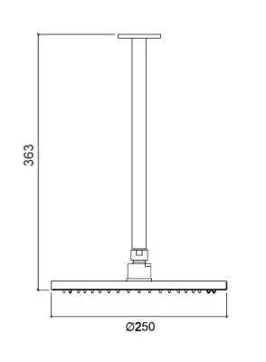 Waterevolution Flow head shower 250mm with ceiling connection brushed brass T164225LE