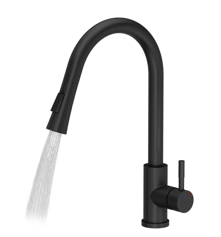 Mezclador de cocina Quadri Leeds con ducha extraíble con 2 posiciones negro mate 1208955907