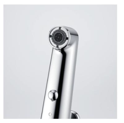 Franke Lift matt black kitchen tap with pull-out spray head 115.0621.670
