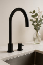 Grifo monomando de cocina de 2 agujeros Waterevolution Flow negro mate T151PR