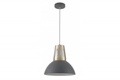 Lámpara de techo Decor Artemia antracita con acabado industrial 34,5 cm de diámetro 2324