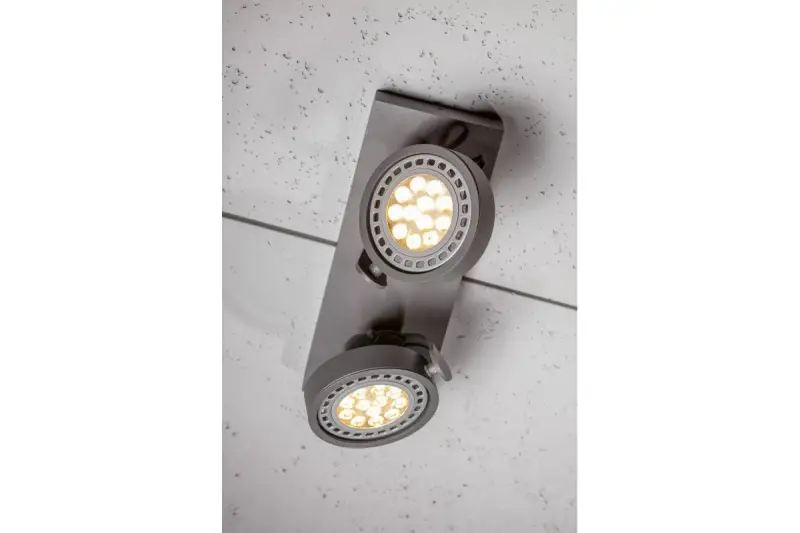 Lámpara de techo Decor Wally o aplique de pared antracita con cabezal móvil 2 portalámparas 4304