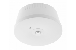 Luminaria de emergencia OGLA LED, 3W, 200lm, AC220-240V, 50-60Hz, IP20, 6400K, 3H, tarea única, botón de PRUEBA 1208963016