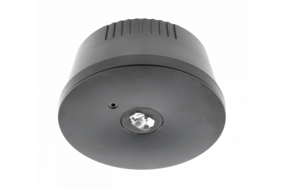 Luminaria de emergencia OGLA LED, 3W, 200lm, AC220-240V, 50-60Hz, IP20, 6400K, 3H, tarea única, TEST, negro 1208963017
