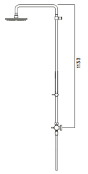 Waterevolution Flow combinación de ducha con ducha de lluvia cromo 250mm T141N2501