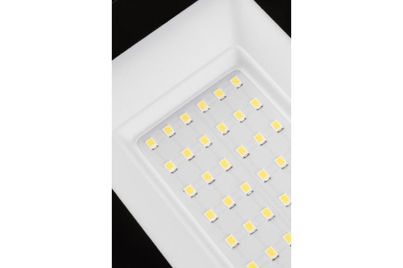 NELI Foco Portátil, LED, 30W, 2700lm, 6400K, AC220-240V, IP65, cable de 1.5m