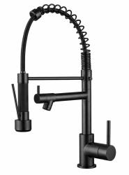 Aquanello Gastro Grifo de cocina con función de rociado profesional, negro BL-4402-GT